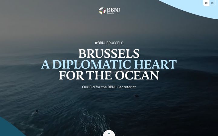 Skærmbillede af bbnjbrussels.be