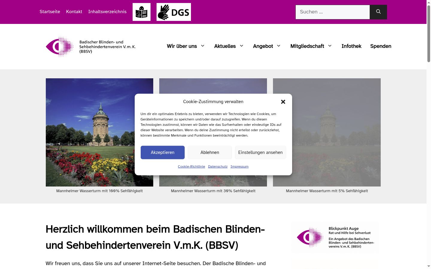 Screenshot des Einwilligungsbanners vor jeglicher Interaktion