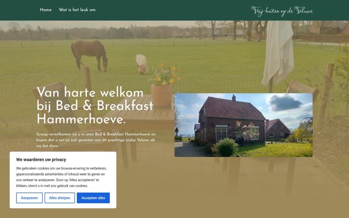 Screenshot of bbveluwe.nl