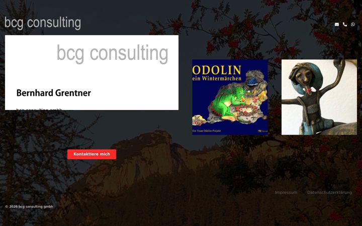 Screenshot of bcg-consulting.st