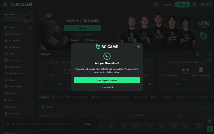 Screenshot of bcgamebet.ng