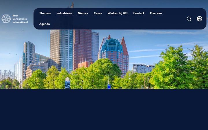 Screenshot of bciglobal.nl
