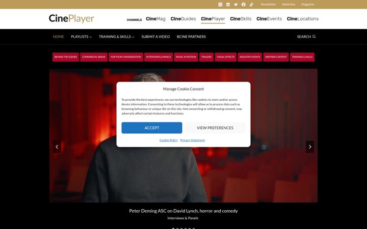Screenshot of bcineplayer.com