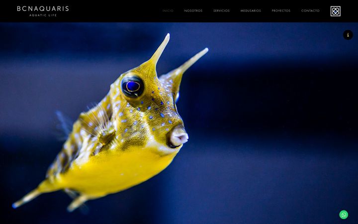 Screenshot of bcnaquaris.com