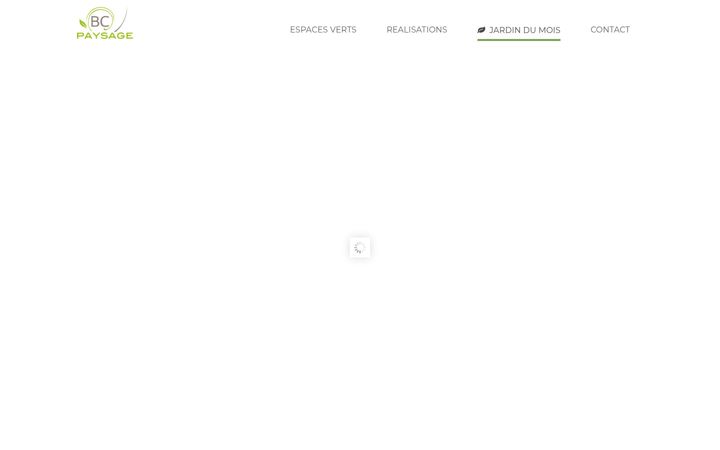 Screenshot of bcpaysage.com