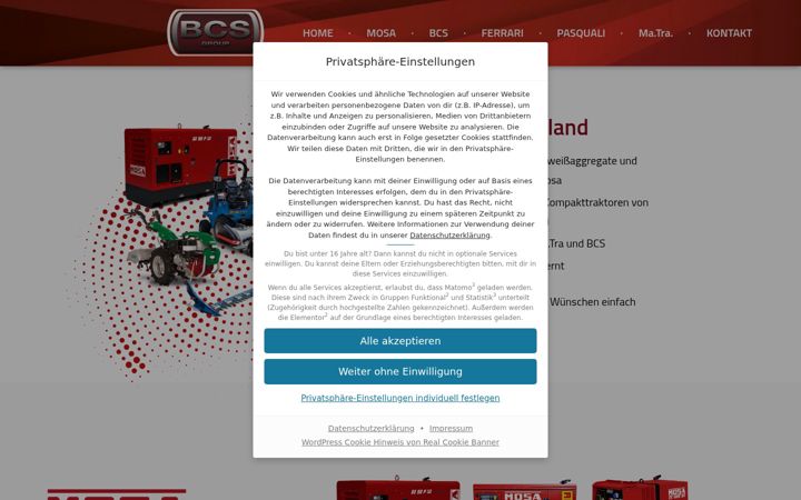 Screenshot of bcs-deutschland.de