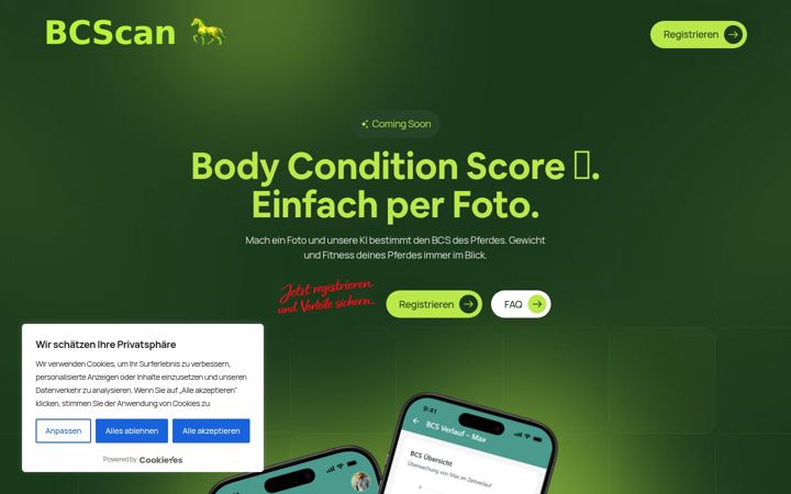 Screenshot of bcs-scan.de