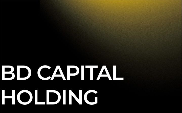 Screenshot of bd-capital-holding.com