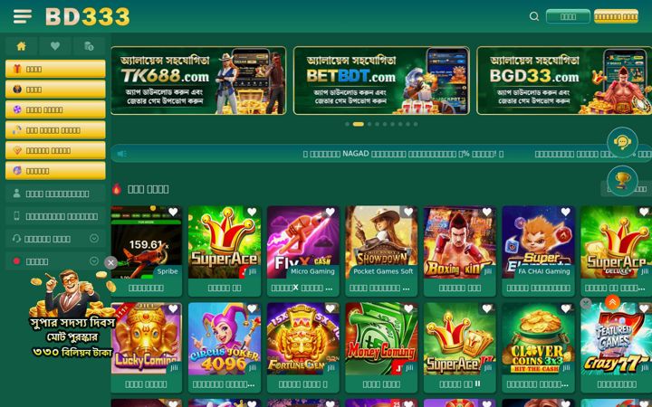 Screenshot of bd333.day