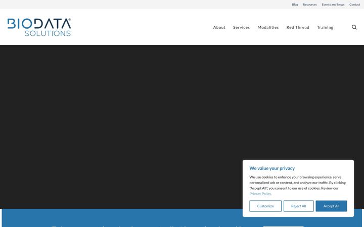 Screenshot of bdatasolutions.com
