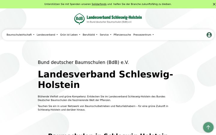 Screenshot of bdb-schleswig-holstein.de