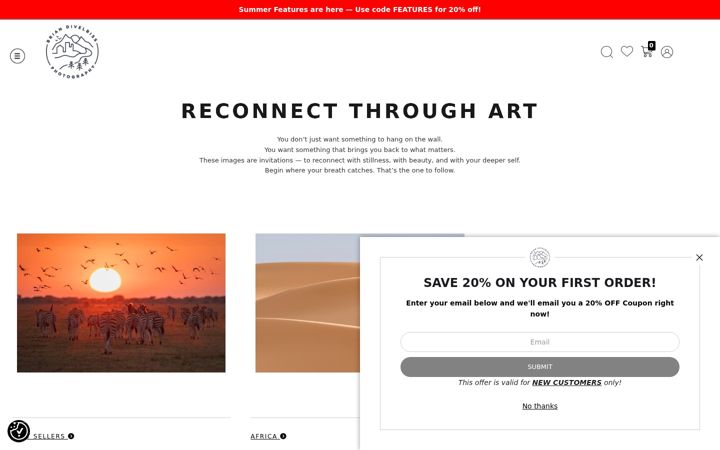 Screenshot of bdivelbissphoto.com