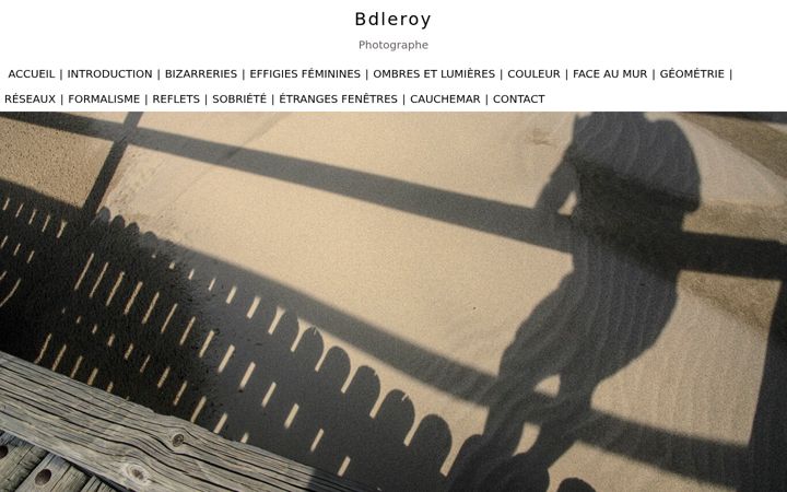 Screenshot of bdleroy.com
