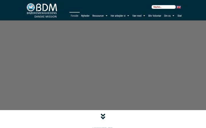 Screenshot of bdm-dk.dk