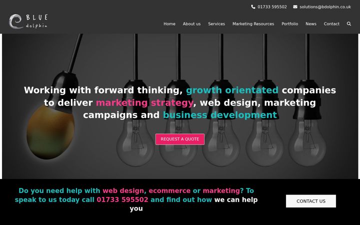 Screenshot of bdolphin.co.uk