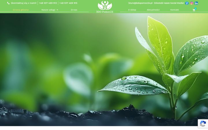 Screenshot of bdopomoc24.pl