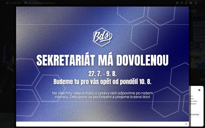 Screenshot of bdsacademy.cz