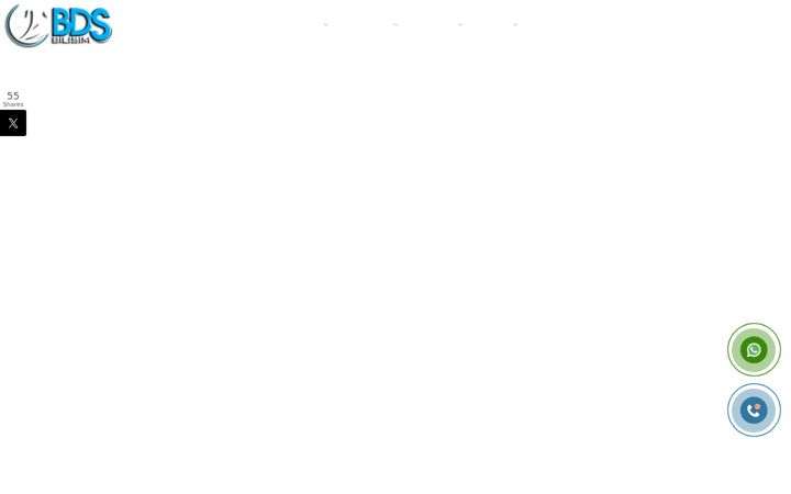 Screenshot of bdsbilisim.com