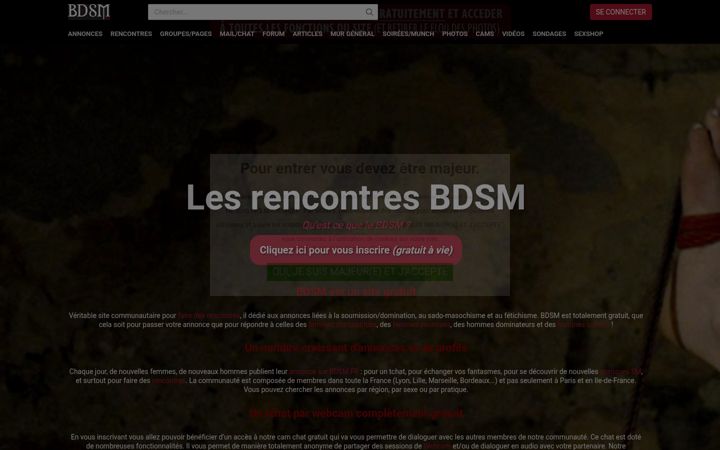Screenshot of bdsm.fr
