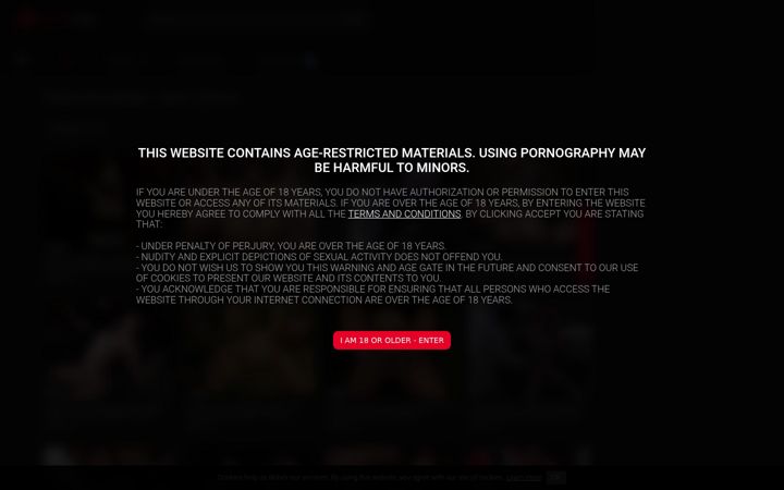 Screenshot of bdsm.one