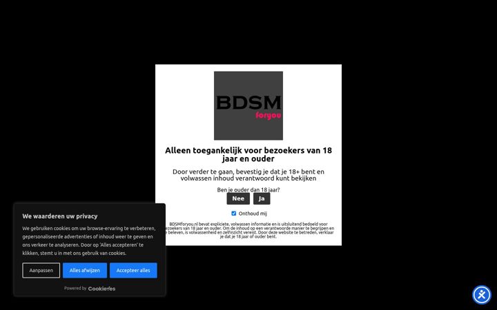 Screenshot ta' bdsmforyou.nl