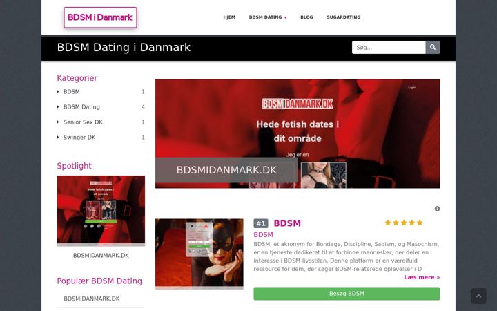 Screenshot of bdsmidanmark.com