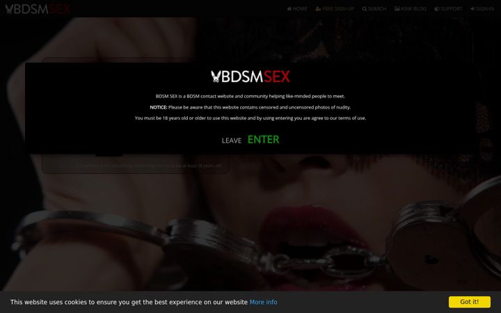 Screenshot of bdsmsex.co.uk