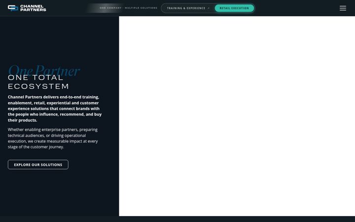 Screenshot of bdssolutions.com