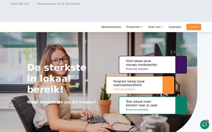 Screenshot ta' bdumedia.nl
