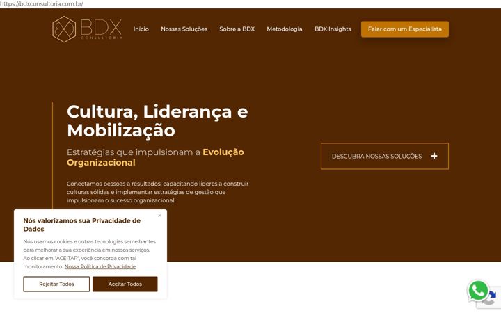 Screenshot of bdxconsultoria.com.br