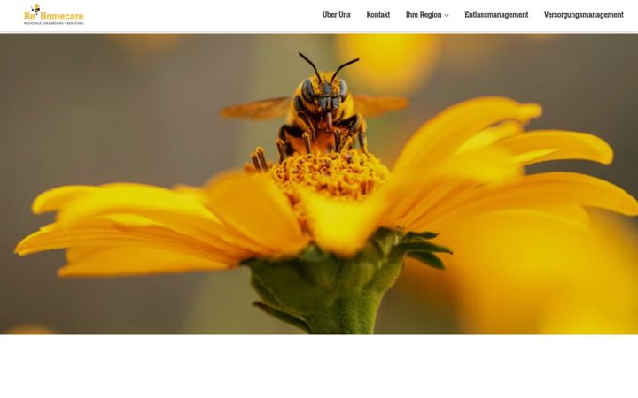 Screenshot of be-homecare.de