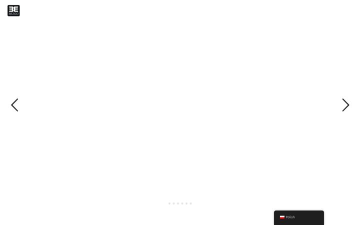 Screenshot of be2go.pl
