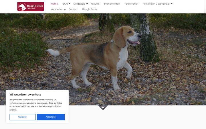 Screenshot ta' beagleclub.nl