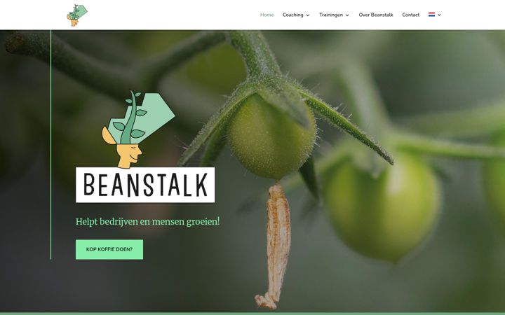 Screenshot of beanstalktraining.nl