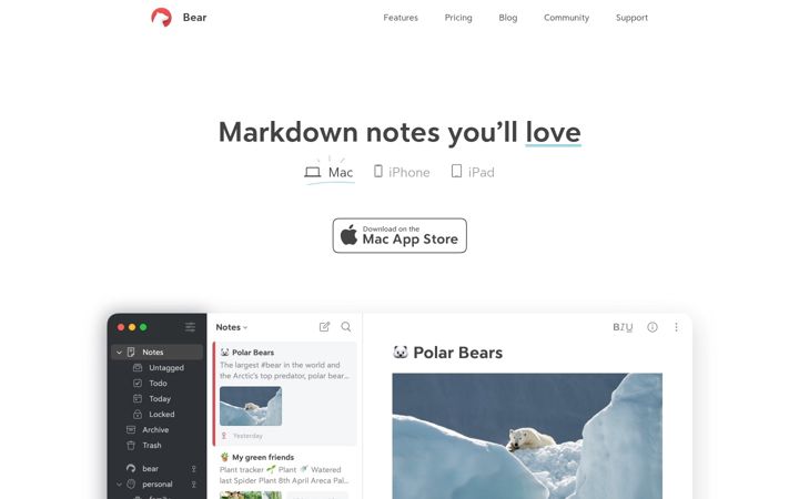 Screenshot of bear.app