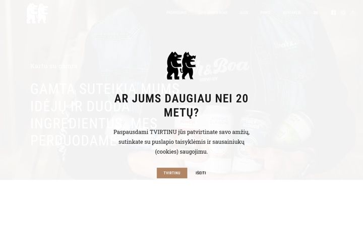 Screenshot of bearboar.lt