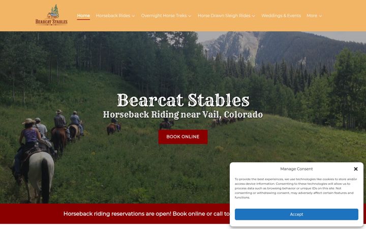 Screenshot of bearcatstables.com