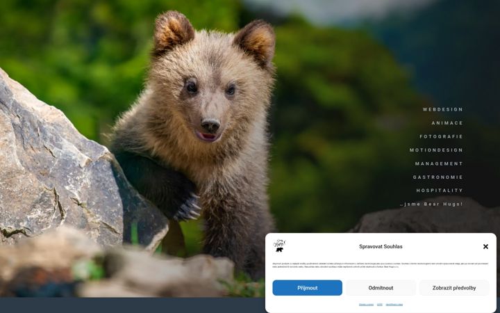 Screenshot of bearhugs.company