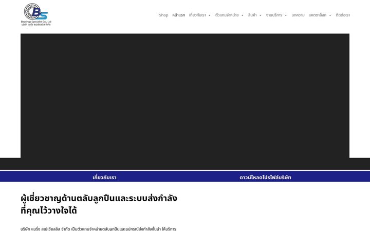 Screenshot of bearingsspecialist.com