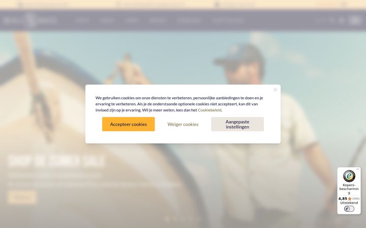 Screenshot ta' beaubags.nl