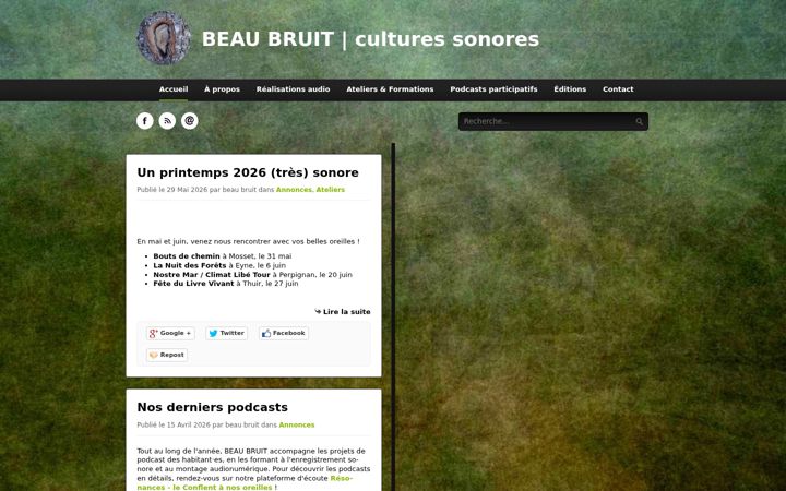 Screenshot of beaubruit.net