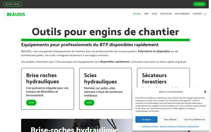 Screenshot of beaudis.fr