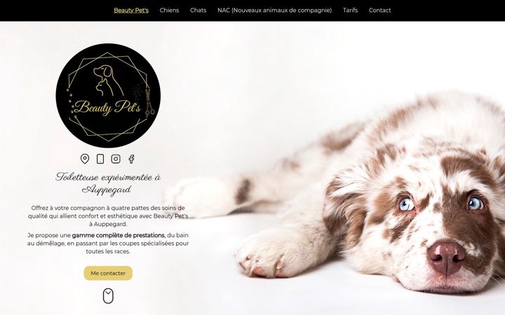 Screenshot of beauty-pets.fr