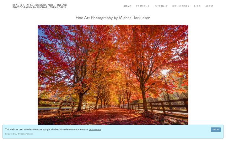 Screenshot of beautythatsurroundsyou.com