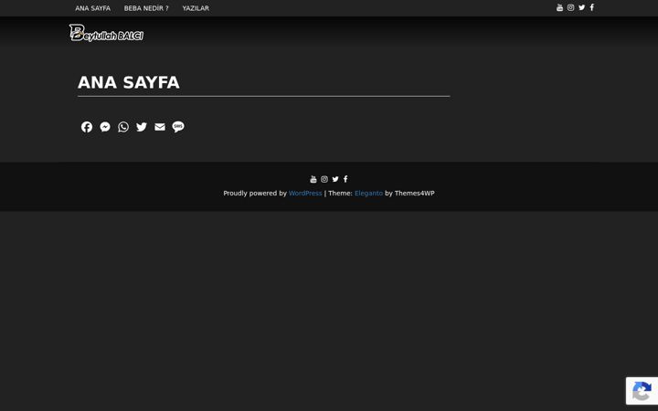 Screenshot of beba.web.tr