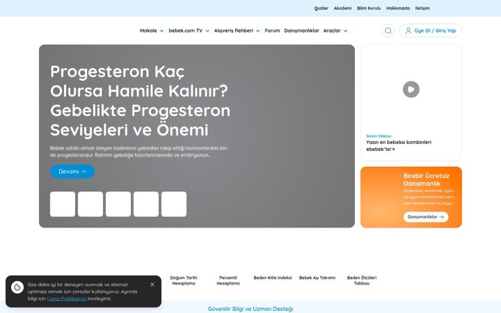 Screenshot of bebek.com