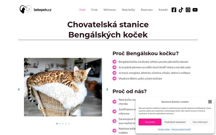 Screenshot ta' bebepets.cz