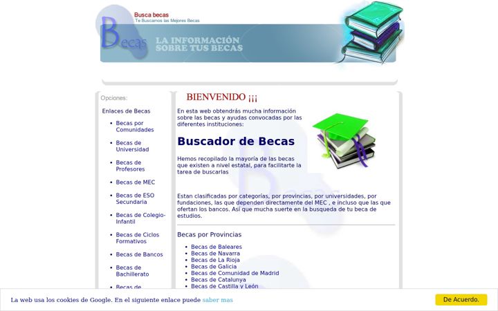 Screenshot of beca.org.es