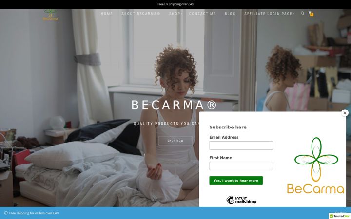 Screenshot of becarma.com