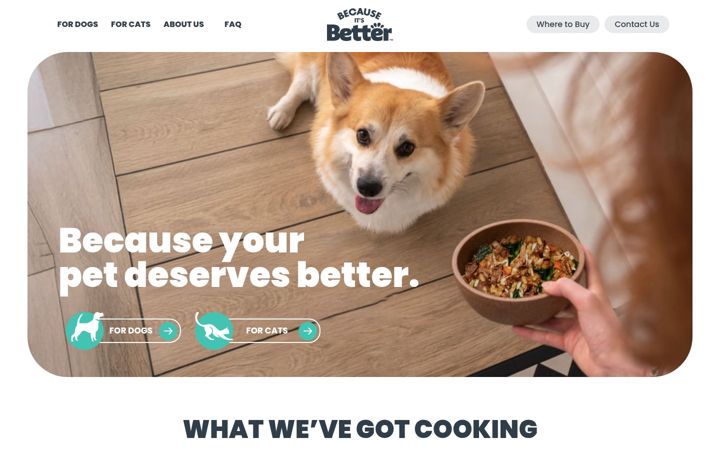 Screenshot of becauseitsbetter.com